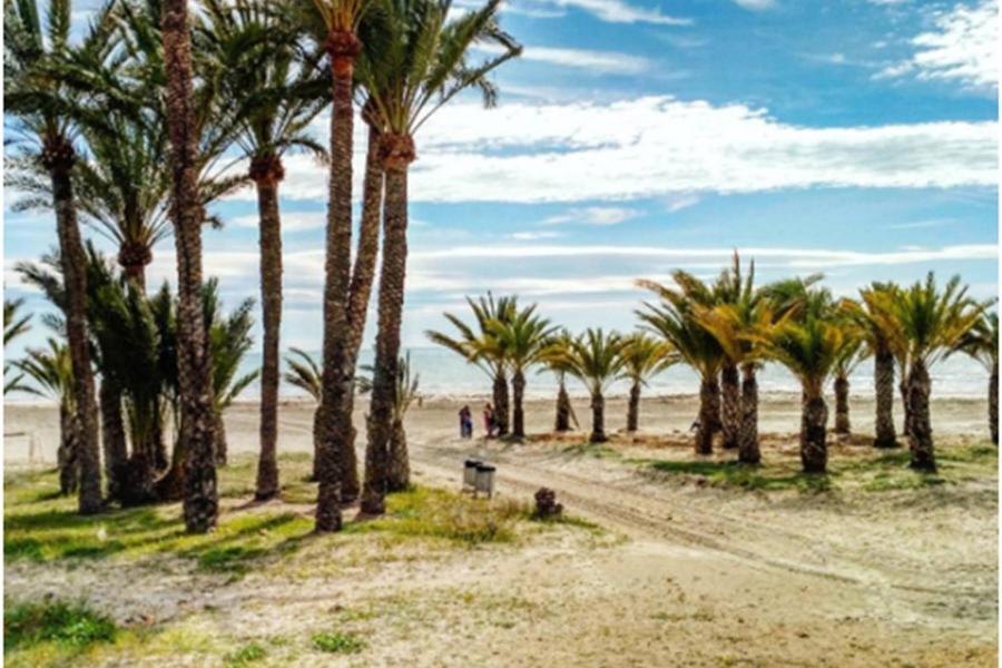 Apartamento 200 Mts de la playa Nuevo Santa Pola Exterior foto